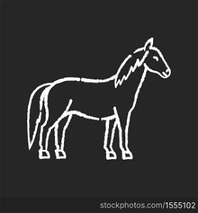 Horse chalk white icon on black background. Wild stallion, common steed, mare. Equestrian sport, horse breeding. Purebred racehorse, untamed mustang isolated vector chalkboard illustration. Horse chalk white icon on black background