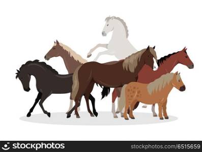 Horse Conceptual Flat Style Vector Web Banner. Horse conceptual web banner. Flat style vector. Group of different horses breeds, variety colors and sizes standing, running and rearing. For equestrian club, horse riding courses landing page design