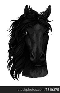 Horse full face artistic portrait. Mustang stallion with mane looking straight forward. Black raven horse full face artistic portrait