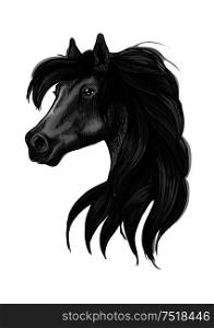 Horse head icon of black arabian stallion. Equestrian sporting competition mascot or t-shirt print design. Black arabian horse head symbol