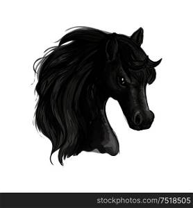 Horse head pencil sketch portrait. Vector isolated black stallion with mane on white background. Black horse head sketch portrait