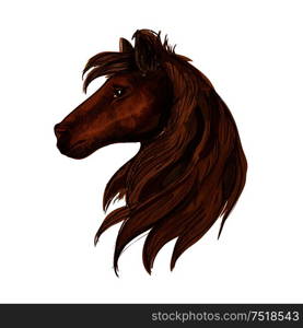 Horse head portrait. Brown stallion foal with mane and staring eyes. Brown horse head sketch portrait