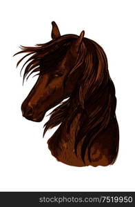 Horse head sketch. Brown racehorse mare of arabian breed for horse racing badge, riding club symbol, t-shirt print design. Horse head sketch of brown racehorse