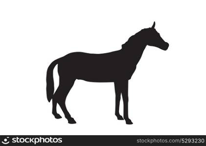 Horse Isolated on White Background. Vector Illustration.. Horse Isolated on White Background. Vector Illustration. EPS10.