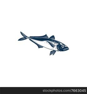 Horse mackarel with flounders, mackerel fishing sport emblem isolated bluefish mascot. Vector Scombridae saltwater fish, bluefin tuna. Aquatic animal, atlantic tuna bluefish, sardine or scombridae. Bluefish mascot isolated mackerel tuna fish icon