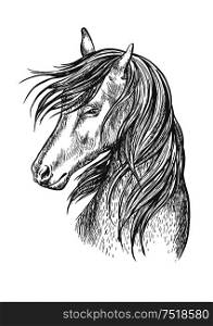 Horse pencil sketch portrait. Beautiful stallion or mare with shy look expression and waving mane. Vector line silhouette. Black horse mustang sketch portrait