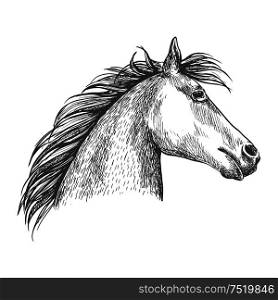 Horse portrait. Artistic vector sketch portrait. White horse profile with wavy mane. Artistic horse head sketch portrait