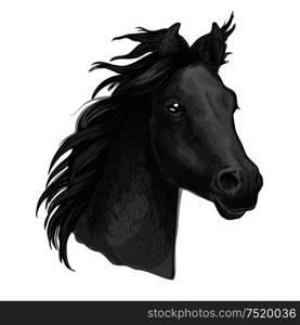 Horse portrait. Dark gray horse profile with wavy mane. Artistic vector sketch portrait. Artistic horse head sketch portrait