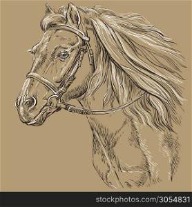Horse portrait with bridle. Horse head with long mane in profile in black and white colors isolated on beige background. Vector hand drawing illustration. Retro style portrait of running horse.