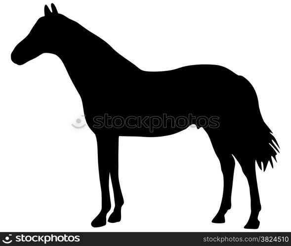 Horse silhouette