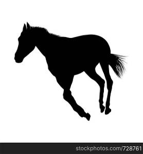 Horse Silhouette. Highly Detailed Smooth. Vector Illustration.. horses silhouettes