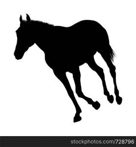 Horse Silhouette. Highly Detailed Smooth. Vector Illustration.. horses silhouettes