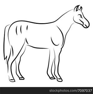 Horse sketch, illustration, vector on white background.
