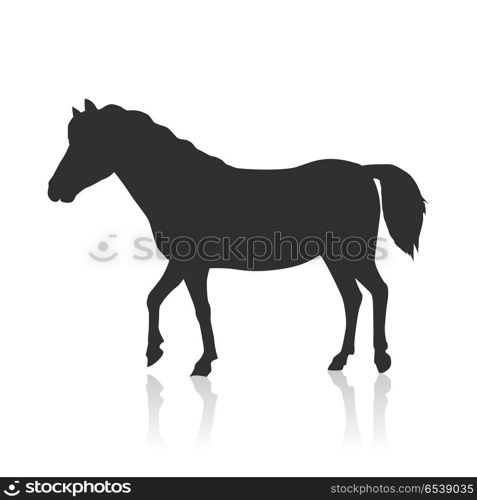 Horse Vector Illustration in Flat Design. Black horse vector. Flat design. Domestic animal. Country inhabitants. For farming, animal husbandry, horse sport illustrating. Agricultural species. Isolated on white