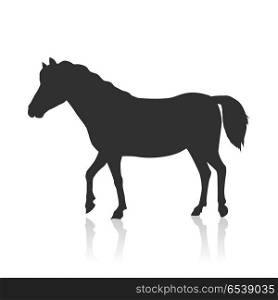Horse Vector Illustration in Flat Design. Black horse vector. Flat design. Domestic animal. Country inhabitants. For farming, animal husbandry, horse sport illustrating. Agricultural species. Isolated on white