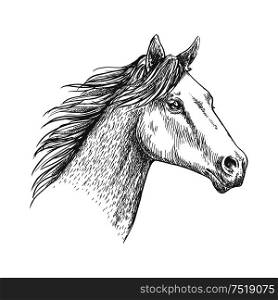 Horse with mane waving in wind. Proud and free mustang stallion pencil sketch strokes portrait. Horse head pencil sketch strokes portrait