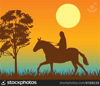 Horseman on. The Walk horseback on horse at night.Vector illustration