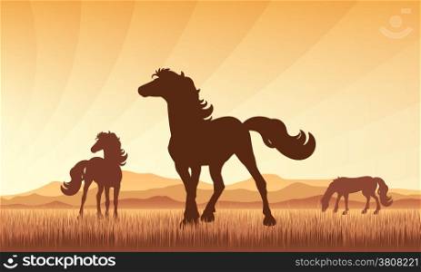 Horses in field on sunset background vector silhouette illustration. Full editable EPS 10. File contains gradients and transparency.