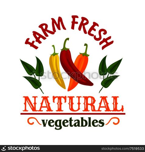 Hot chilli and cayenne peppers vegetables symbol with red, yellow and orange spicy peppers, framed by leaves and headers Natural and Farm Fresh. Spice badge or chilli sauce packaging design. Hot chilli and cayenne peppers vegetable badge
