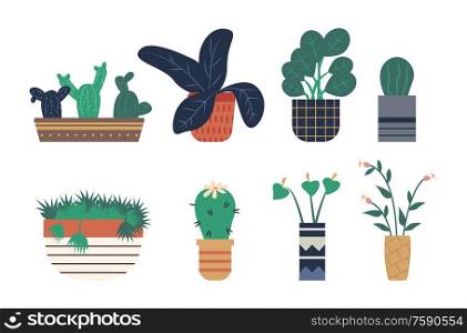 Hothouse representing plants vector, greenhouse houseplants set isolated flat style flora with foliage and leaves, floral decoration botanical flowers. Greenhouse Plants Set, Houseplants Types Isolated