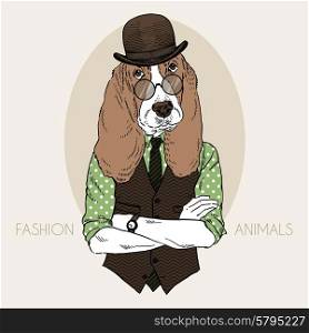 hound dog hipster, fashion animal illustration, furry art design
