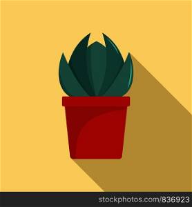 House cactus pot icon. Flat illustration of house cactus pot vector icon for web design. House cactus pot icon, flat style