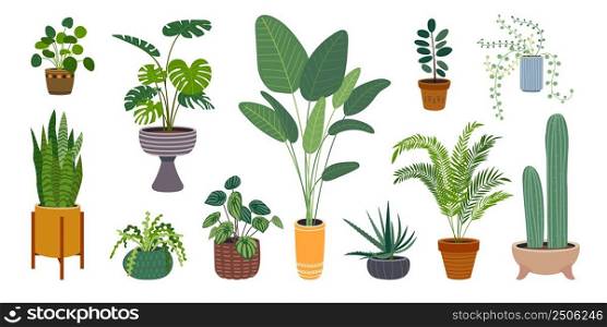 House plant. Different plants, cute hang succulents. Green leaf, home garden decorative pots on stand. Isolated monstera, cacti, classy vector set. Illustration of houseplant different. House plant. Different plants, cute hang succulents. Green leaf, home garden decorative pots on stand. Isolated monstera, cacti, classy vector set