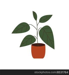 House plant growing in pot. Green leaf houseplant in floor planter. Home and office interior decoration. Foliage indoor decor in flowerpot. Flat vector illustration isolated on white background