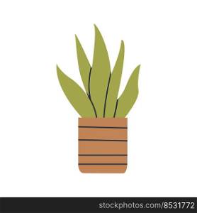 House plant growing in pot. Green leaf houseplant in floor planter. Home and office interior decoration. Foliage indoor decor in flowerpot. Flat vector illustration isolated on white background