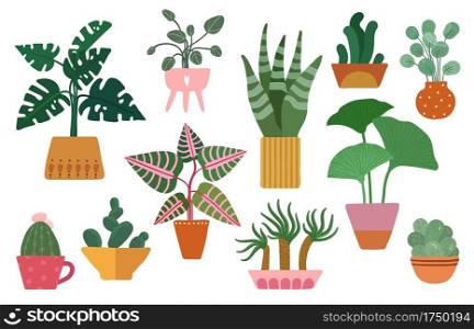 House plant. Home cactus, scandinavian decor. Cute succulents, cacti and houseplants, indoor flowers in pots. Isolated vector trees set. Illustration botanical flowerpot and succulent cactus. House plant. Home cactus, scandinavian decor. Cute succulents, cacti and houseplants, indoor flowers in pots. Isolated vector trees set