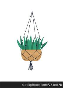 House plant with long leaves vector, isolated houseplant flat style. Hanging pot held by threads, flora placed in vase, natural decoration for home decor. Room Plant Growing in Pot with Fishnet on Hook