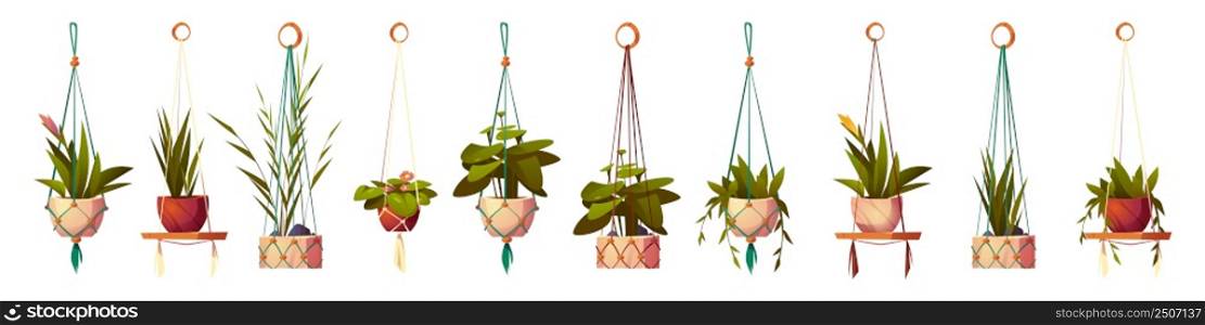 House plants in hanging pots, isolated set of flowers in macrame hangers. Green planters in handmade holders made of rope for home interior decoration on white background, Cartoon vector illustration. House plants in hanging pots, isolated flowers set