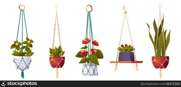 House plants in hanging pots, isolated set of flowers in macrame hangers. Green planters in handmade holders made of rope for home interior decoration on white background, Cartoon vector illustration. House plants in hanging pots, isolated flowers set