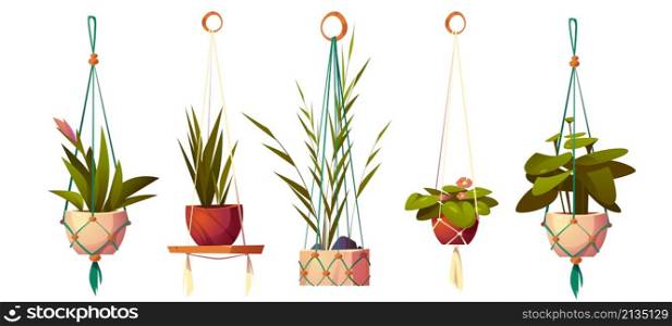 House plants in hanging pots, planters in macrame hangers. Vector cartoon set of flowers in handmade holders from rope for home interior decoration isolated on white background. House plants in hanging pots in macrame hangers