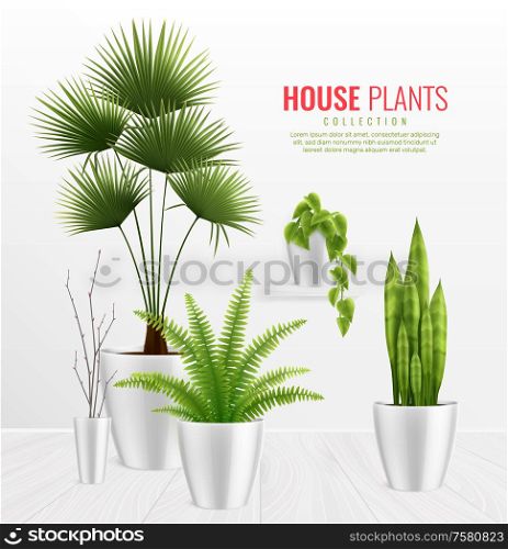 House plants in pot composition realistic concept with plants collection on stylish white background vector illustration