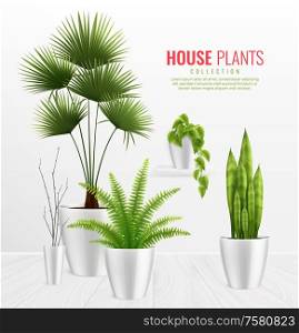 House plants in pot composition realistic concept with plants collection on stylish white background vector illustration