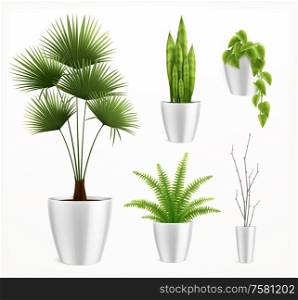 House plants in pot realistic composition with stylish plants in white pots vector illustration