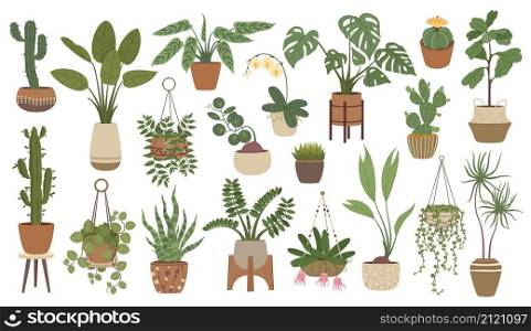 House plants in pots, hanging houseplants, indoor home decor. Potted cactus, succulents, urban jungle plant interior decorations vector set. Stands with flowers in scandinavian style. House plants in pots, hanging houseplants, indoor home decor. Potted cactus, succulents, urban jungle plant interior decorations vector set