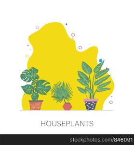 House plants in pots. Note houseplants. Tropical leaves on background. Postcard, banner, app design. . House plants in pots. Note houseplants