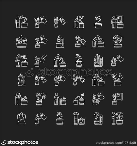 Houseplant care chalk white icons set on black background. Domestic plant cultivation. Repotting, replanting. Planting seeds. Watering, soil fluffing. Isolated vector chalkboard illustrations