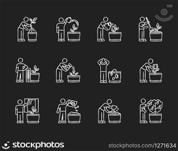 Houseplant care chalk white icons set on black background. Indoor gardening steps. Repotting, fertilizing. Planting flower seeds. Watering, spraying. Isolated vector chalkboard illustrations
