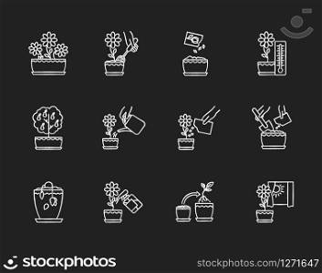 Houseplant care chalk white icons set on black background. Indoor gardening steps. Repotting, spraying plants. Planting flower seeds. Watering, fertilizing. Isolated vector chalkboard illustrations