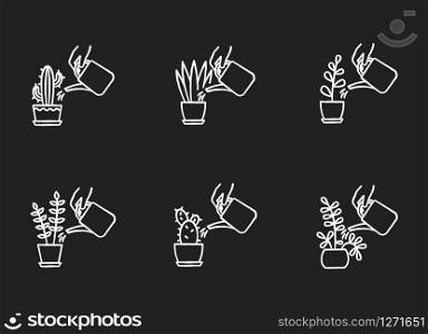 Houseplant care chalk white icons set on black background. Indoor gardening. Watering domestic plants. Moisturizing, rehydrating soil. Moistening ground. Isolated vector chalkboard illustrations