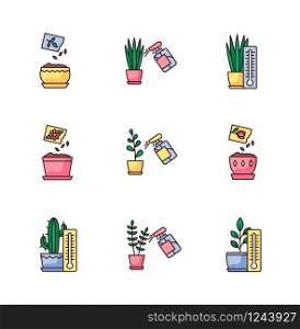 Houseplant care RGB color icons set. Indoor gardening process. Domestic plant cultivation. Spraying, misting plants. Planting seeds. Providing air temperature conditions. Isolated vector illustrations
