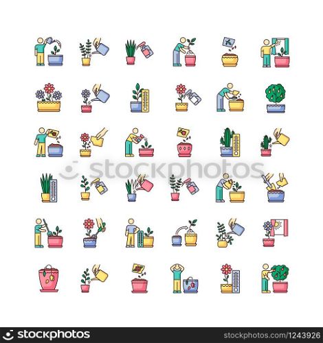 Houseplant care RGB color icons set. Indoor gardening stages. Domestic plant cultivation. Repotting, replanting. Planting seeds. Watering, soil fluffing. Isolated vector illustrations