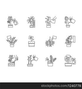 Houseplant caring pixel perfect linear icons set. Plant transplant. Watering, fertilizing. Spraying. Customizable thin line contour symbols. Isolated vector outline illustrations. Editable stroke