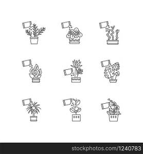 Houseplant fertilizing pixel perfect linear icons set. Feeding domesticated plants. Growth supplements. Customizable thin line contour symbols. Isolated vector outline illustrations. Editable stroke