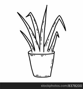 Houseplant. Flower pot. Vector doodle illustration.