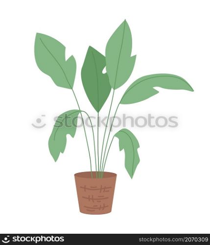 Houseplant for interior decor semi flat color vector item. Realistic object on white. Tropical plant for office isolated modern cartoon style illustration for graphic design and animation. Houseplant for interior decor semi flat color vector item