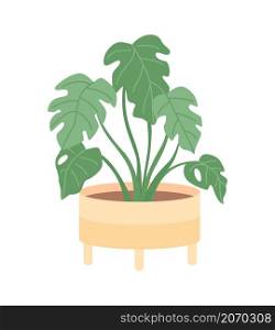 Houseplant for office interior decor semi flat color vector item. Realistic object on white. Tropical plant for home isolated modern cartoon style illustration for graphic design and animation. Houseplant for office interior decor semi flat color vector item